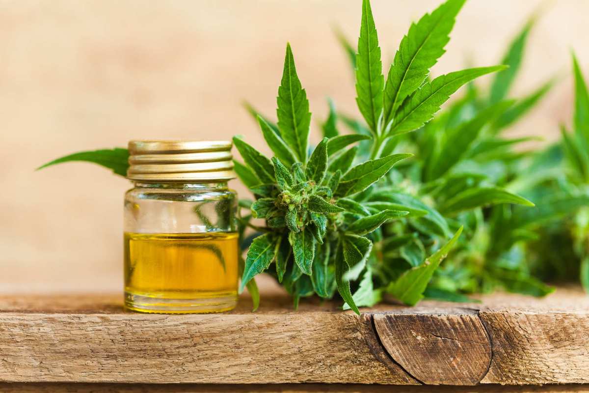 Sometimes, less is more in CBD cooking: Start with a smaller amount of cannabidiol when starting out at cooking with CBD.