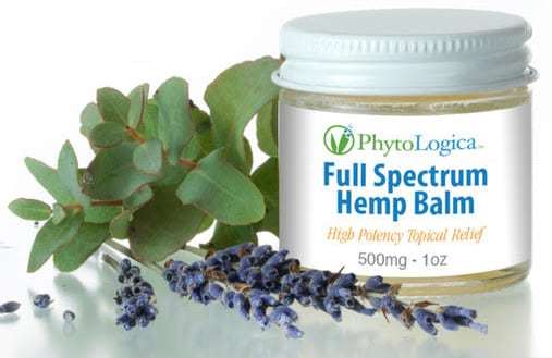 PhytoLogica Full Spectrum Hemp balm combines cbd oil with coconut oil, beeswax, and the fresh scent of lavender.