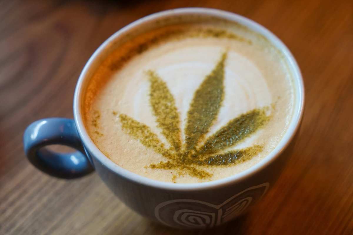 A coffee cup with a hemp leaf drawn in milk foam. Ready to get fancy with CBD coffee? Try this delicious, decadent peppermint CBD latte recipe.