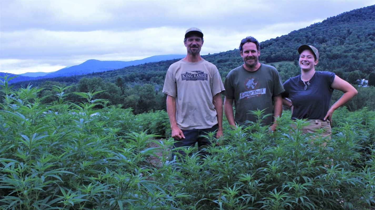Part of the Luce Farm team stands in their hemp field (left to right): Jesse, Joe Pimentel, and Robin Chadwell.