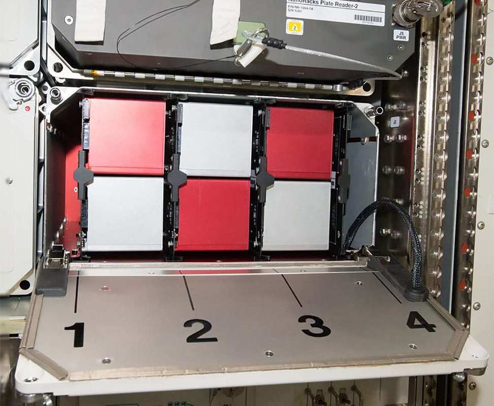 Space Tango's module on the International Space Station features multiple "CubeLabs," modular research labs each the size of a box of tissues. The firm will soon be growing hemp in space in one of these labs.