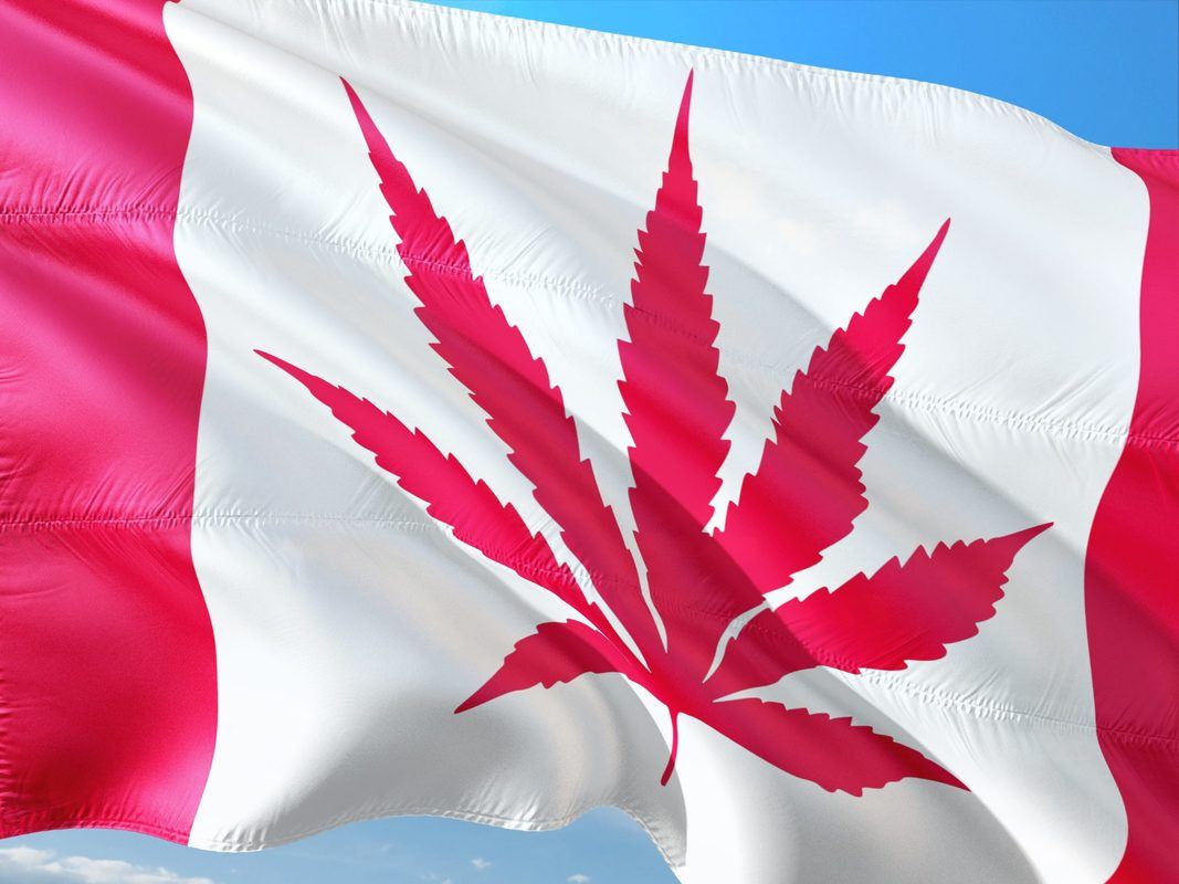 A photo of an altered Canadian flag flying against a blue sky. The typical maple leaf is replaced with a hemp or cannabis leaf.