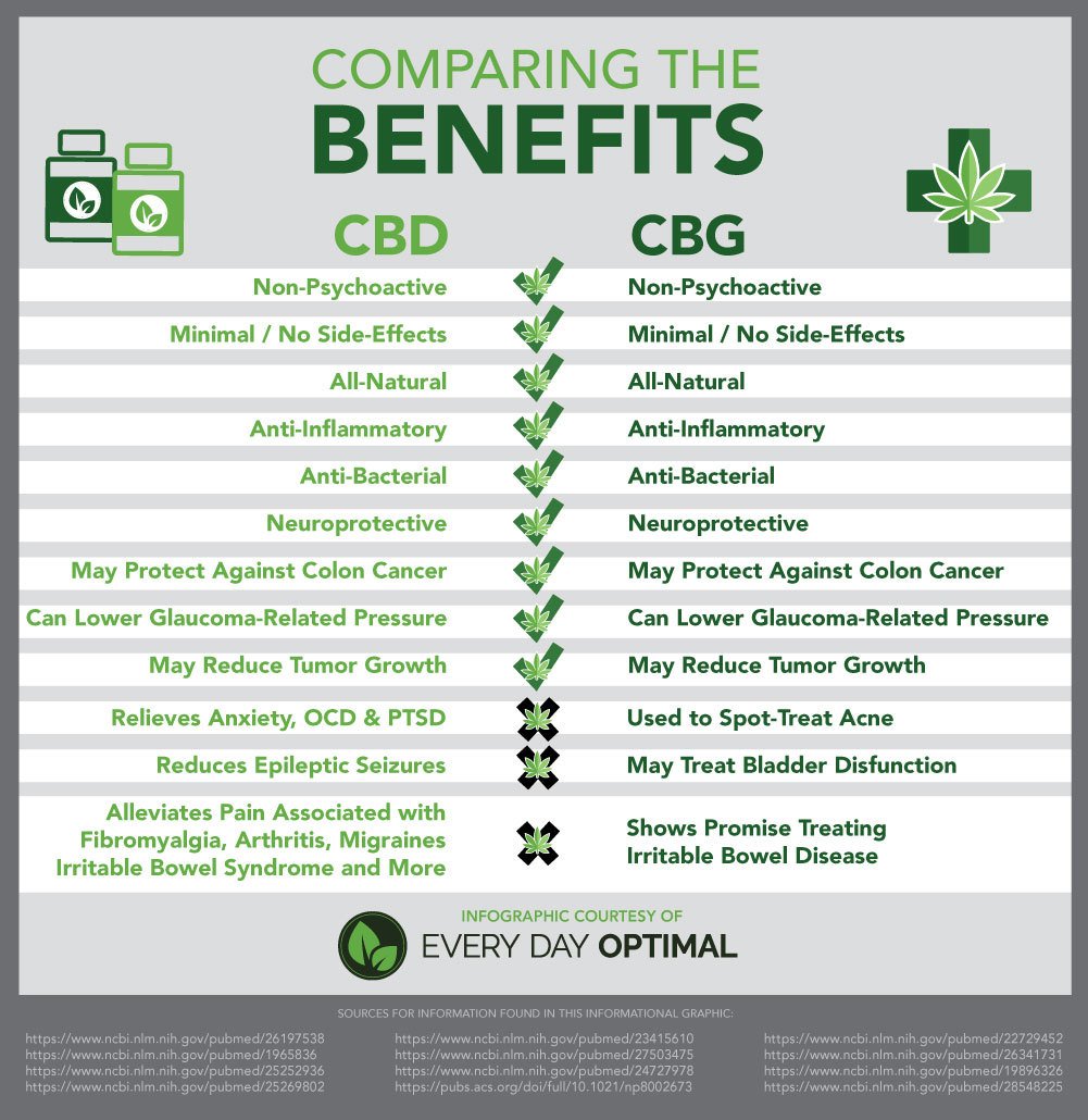 Infographic so sánh CBD và CBG: trong khi cả hai đều không hoạt động, lợi ích sức khỏe của chúng khác nhau.