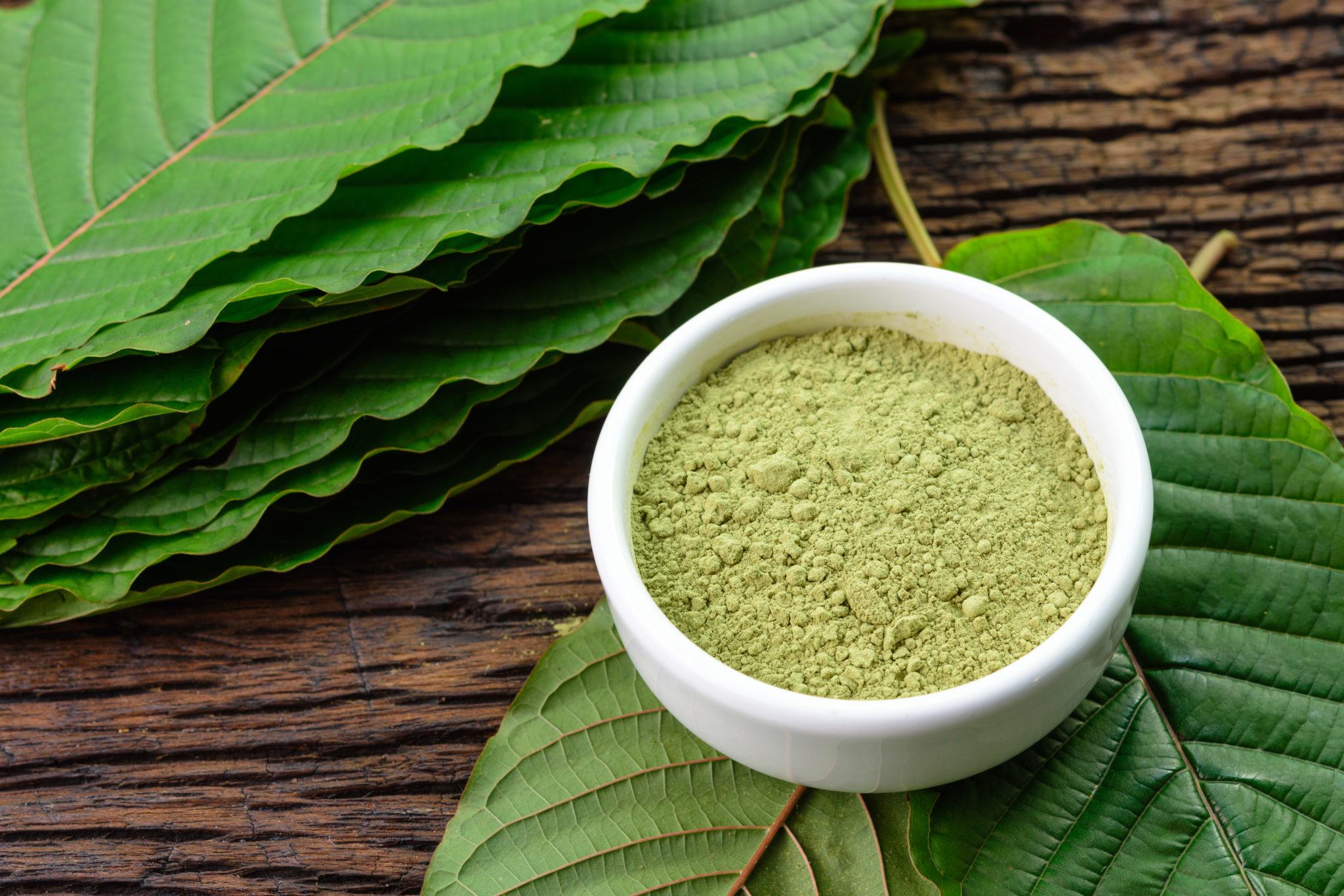 When comparing CBD vs. Kratom, one major difference is that CBD is non-addictive and appears safe even at relatively high doses, while kratom can pose risks of dependency and other side effects. Photo: Powdered kratom in a white bowl sits atop whole mitragyna speciosa leaves.