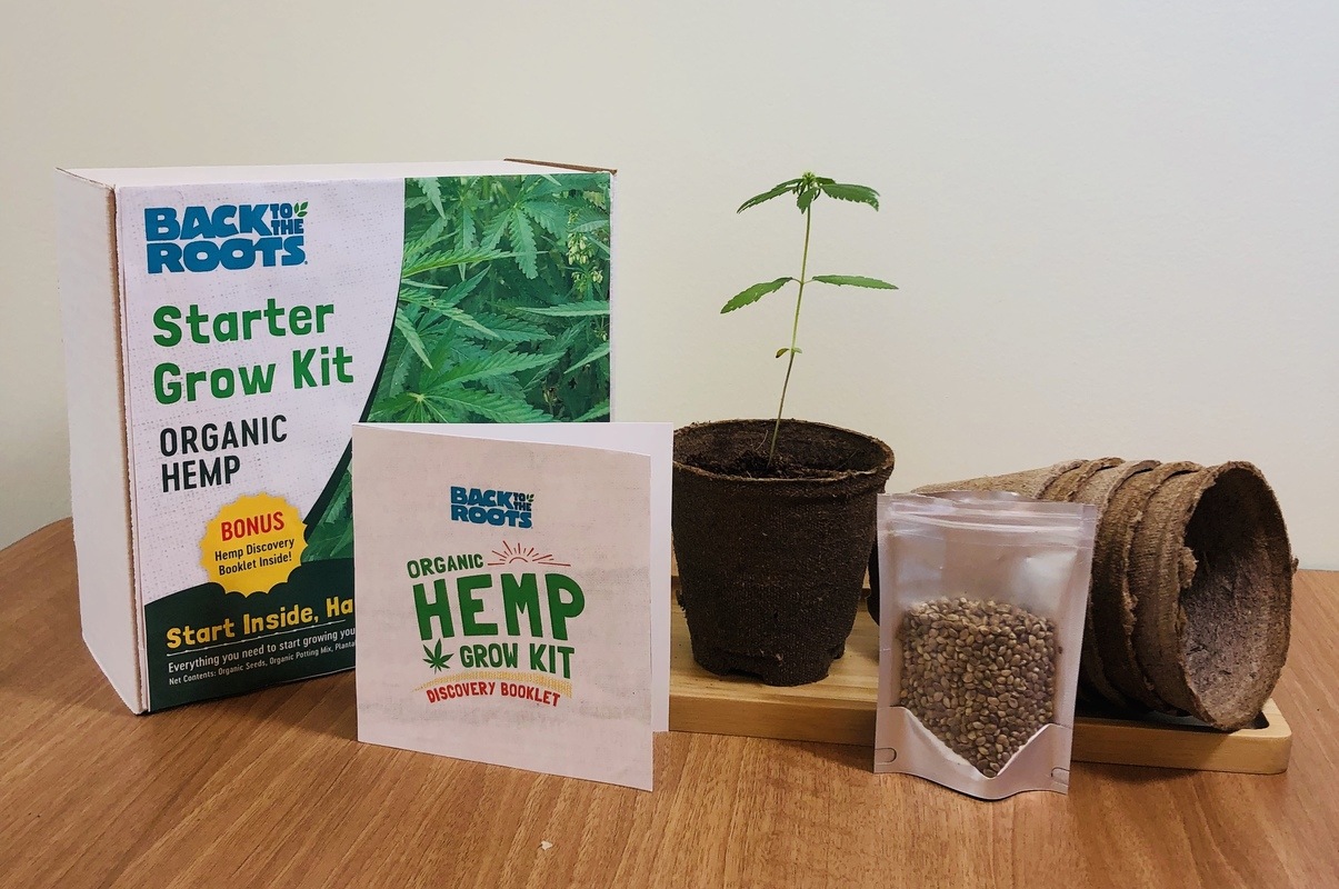 Photo: The contents of Back To The Roots Hemp Grow Kit. Creators hope their hemp starter kit will spark a conversation about this important but misunderstood plant.