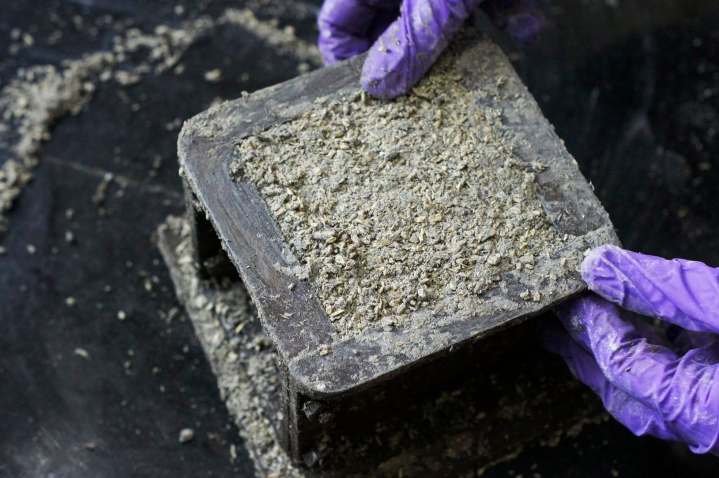 A person wearing gloves forms a cube of hempcrete in a metal mold. Thanks to their challenging climate, hempcrete in Australia is growing in popularity as a building material.