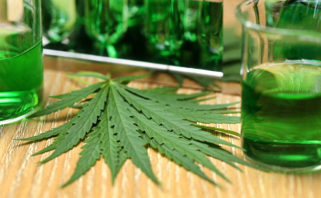 Most studies into CBD oil show few side effects, mostly minor ones like sleepiness or mild sedation. Photo: Hemp leaves near two beakers of green liquid, depicting hemp and CBD research.