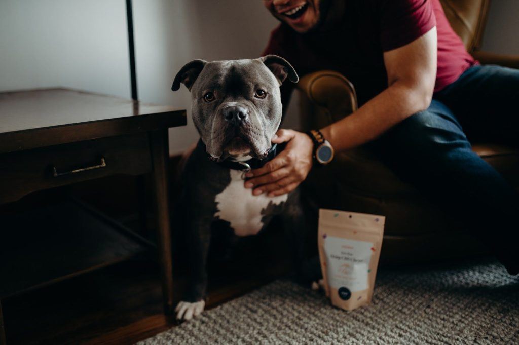 Populum Zen Pets Hemp CBD Chews are great for cats and dogs of all sizes. Photo: A bulldog poses excitedly with its owner and a pouch of Zen Pets Hemp CBD Chews.