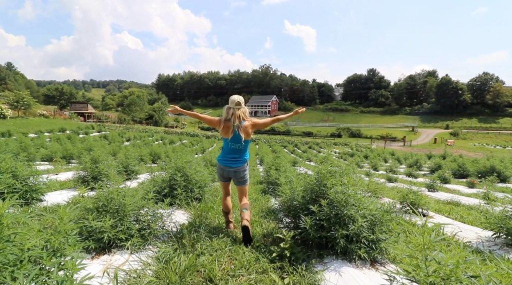 Photo: Seen from behind, a visitor to Franny's Farm spreads her arms expansively as she surveys her North Carolina, hemp farm and its young hemp plants.