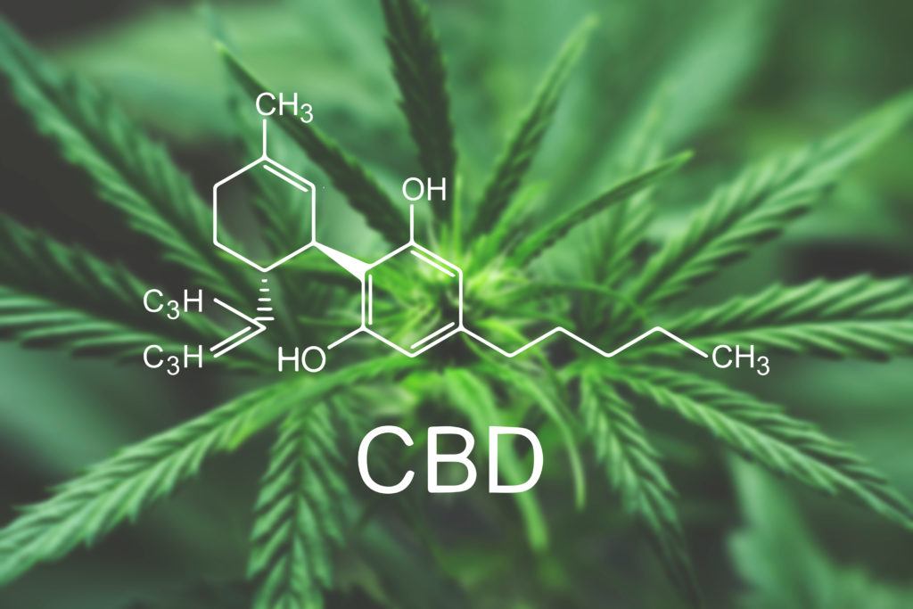 CBD is a naturally occurring compound found in industrial hemp and cannabis which can offer numerous benefits in supplement form. Photo: A digital model of the CBD molecule with a hemp plant in the background.
