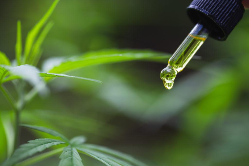 Getting started with CBD doesn't have to be confusing, if you follow the advice in this Guide to CBD. Photo: A dropper of CBD oil held in the air with a droplet of CBD on the tip. In the background are live hemp plants.