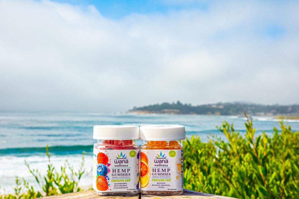 Photo: Two bottles of Wana Wellness gummies posed by the beach, with beach plants and waves crashing on shore in the background.