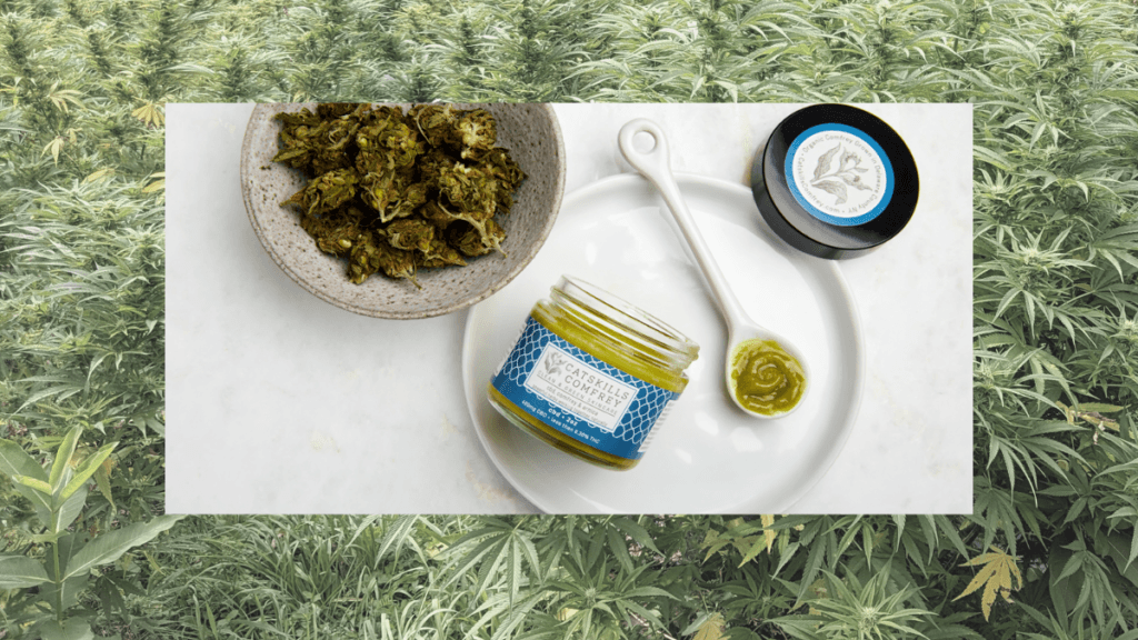Catskills Comfrey is a small farm in New York, producing topical ointments from hemp and comfrey which they grow. Photo: A collage image showing a bushy hemp field in the background, overlaid with an image of Catskills Comfrey ointment in a spoon, near a bowl of dried Comfrey.