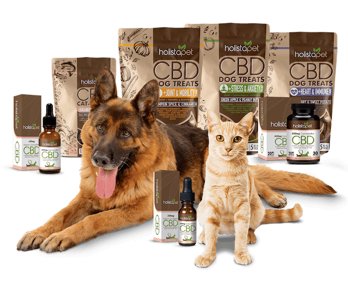 Photo: A dog and cat posed with an array of Holistapet CBD-infused pet products.