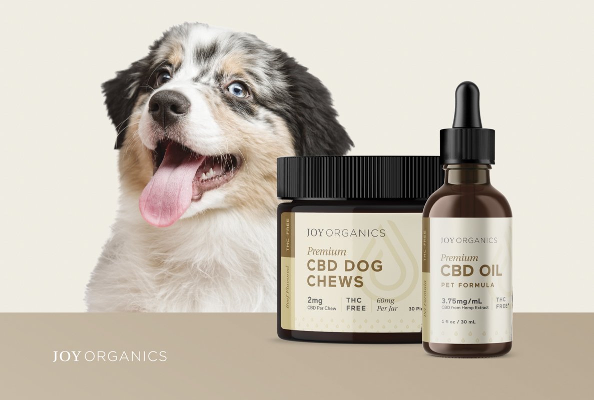 A happy looking dog with two Joy Organics broad spectrum pet CBD products.