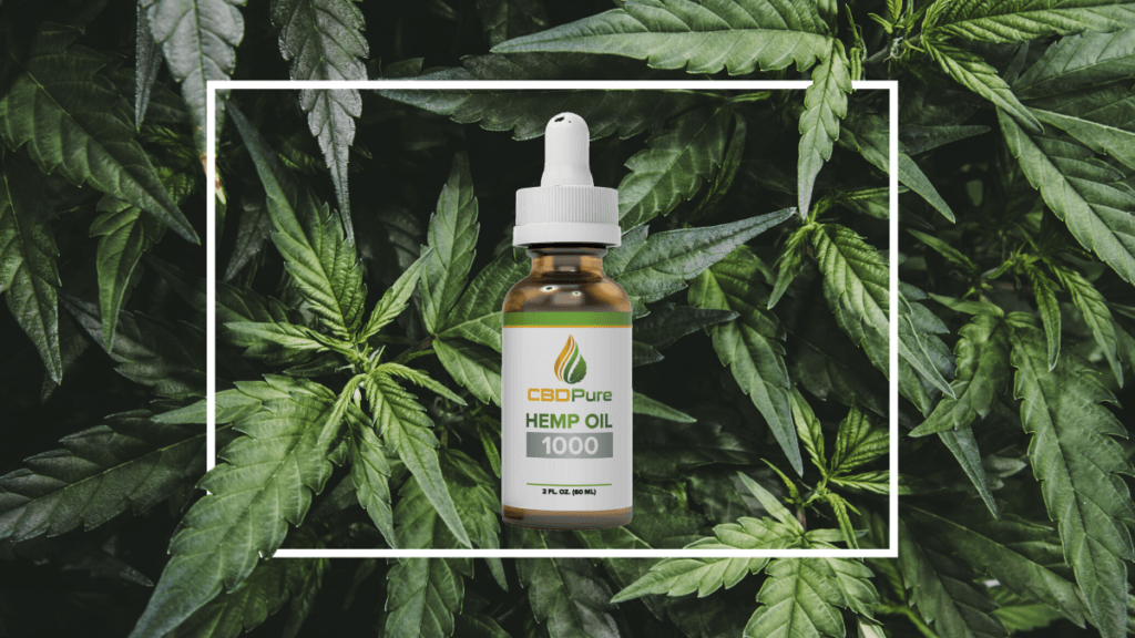 Photo: A bottle of CBD Pure Hemp Oil superimposed on a background of hemp leaves, with a white box drawn around the bottle.