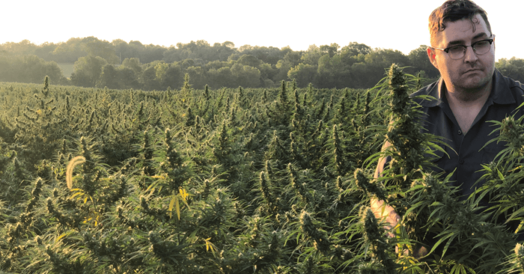 Photo: Jim Higdon inspects a hemp field, standing outdoors among tall, densely packed plants.