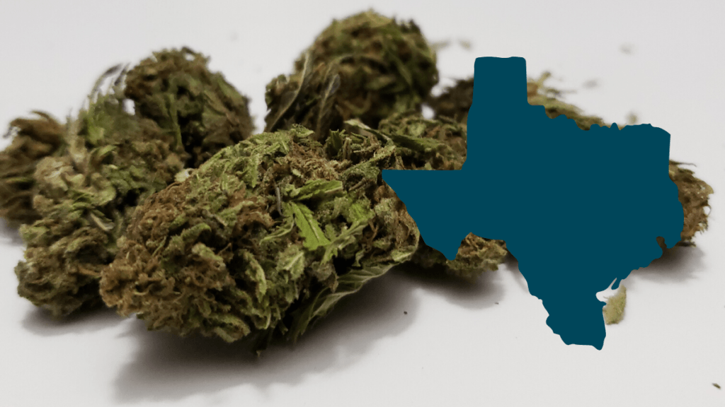 Texas hemp regulations could interere with the industry. Image: A photo of smokable hemp buds with the outline of the state of Texas superimposed.