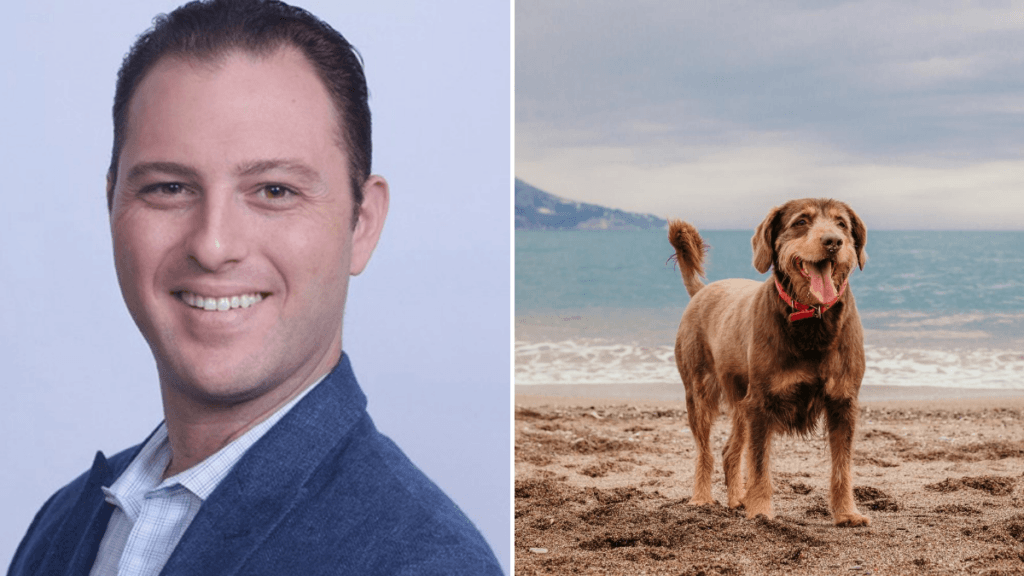 Photo: A composite image showing, on the left, Dr. Matthew Halpert, a young white man with short dark brown hair, smiling, wearing a formal shirt and jacket. To the right, an older brown-furred dog plays on the beach. Dr. Matthew Halpert coauthored a study which looked at whether CBD could help older dogs with arthritis.