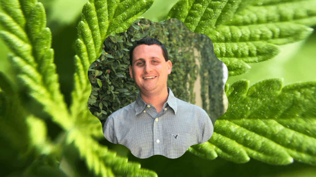 A photo of a close-up of a green hemp leaf, with a head shot of hemp lobbyist Evan Nison appearing in the center. Evan joined the Ministry of Hemp podcast to discuss how hemp lobbying differs from cannabis advocacy.