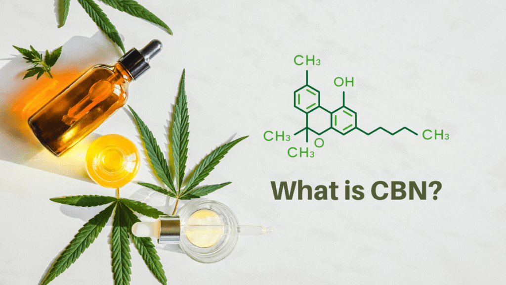 CBN is a cannabinoid found in hemp and cannabis with unique health benefits. An arrangement of generic tincture bottles with hemp leaves, and an image of the CBN molecule, with the words What is CBN? in green text.