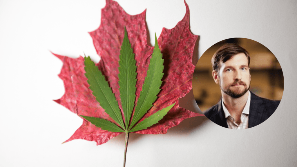 A photo of a hemp leaf on top of a red maple leaf, symbolizing Canadian hemp. In a bubble insert, a headshot of Tomas Skrinskas, CEO of Ascension Sciences.