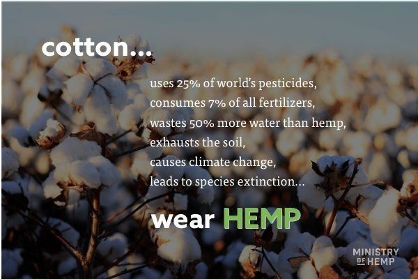 hemp is better and more sustainable than cotton