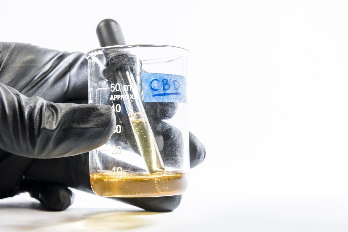 A gloved hand holds a beaker containing amber liquid and a dropper, labeled CBD. Some research suggests CBD could be used as an antibiotic in clinical settings. Cannabinoid antibiotics represent the cutting-edge of research.