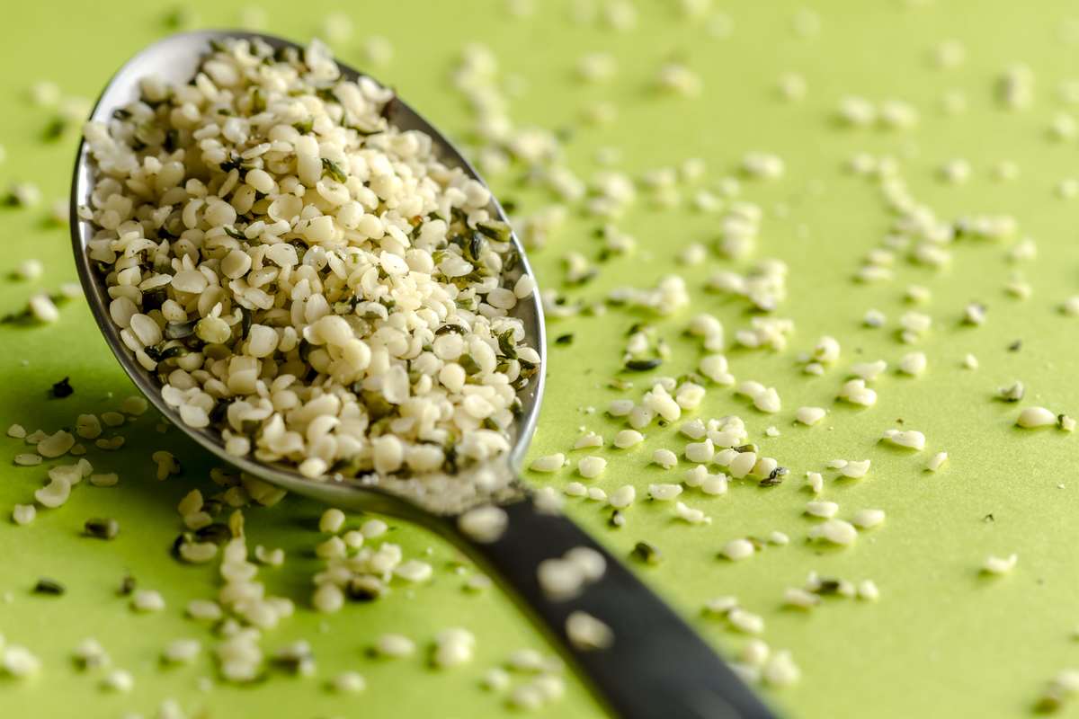 An overflowing spoonful of hemp hearts. Hemp for keto is a perfect choice due to hemp protein's incredible nutritional profile.