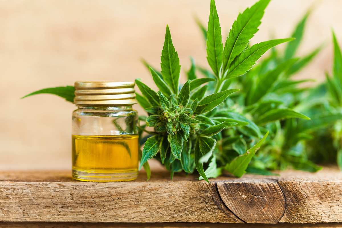 A vial of CBD oil rests on a table next to a leafy branch of a hemp plant. Despite its growing popularity, there are still myths and misconceptions around hemp-derived CBD oil. Our latest video takes a look at the truth behind 5 CBD myths.