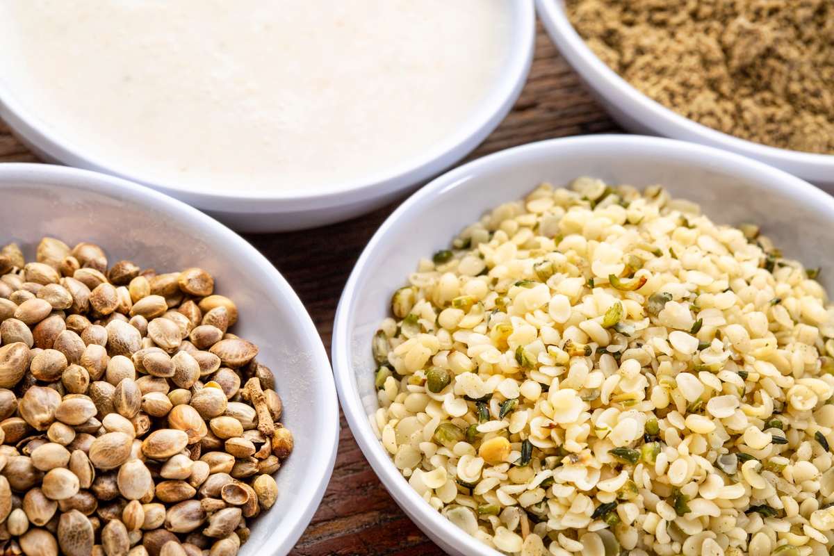 Hemp milk is easy to make, requiring just a few key ingredients. Seen here in bowls are fresh hemp milk, hemp seeds, and shelled hemp seeds (hemp hearts).