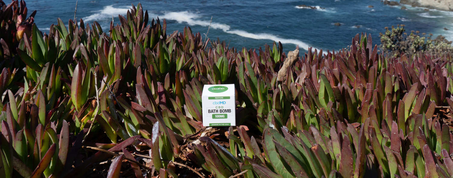 A cbdMD CBD Bath bomb sits among the natural wild greenery on the shore of a beach, with the ocean in the background. cbdMD CBD Bath Bombs helped our reviewer relax with 100mg of potent cannabidiol.