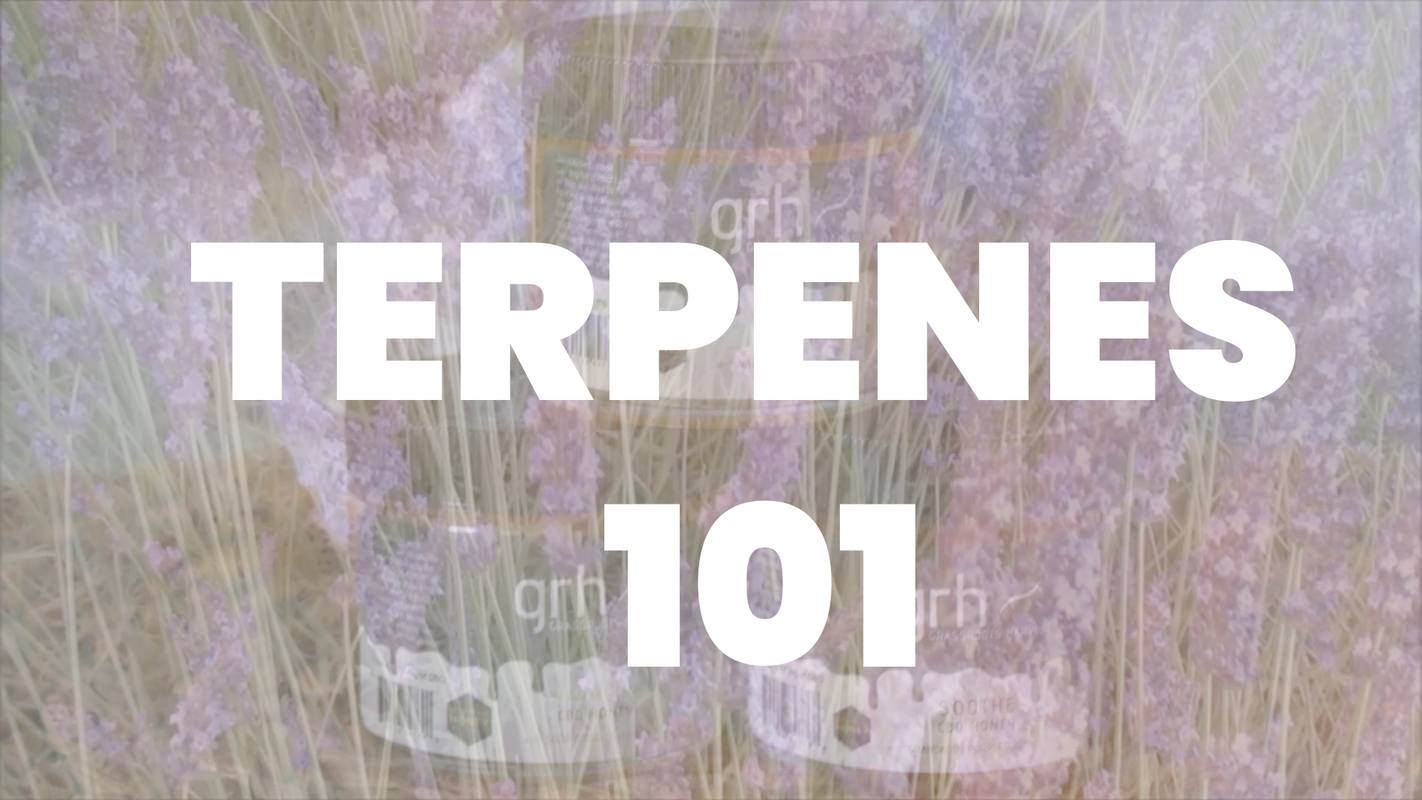 Photo: A composite graphic for the Terpenes 101 video shows lavender, Grassroots Harvest terpene-infused CBD honey, and text reading Terpenes 101.