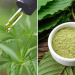 Photo: A composite image comparing CBD vs. Kratom, with a CBD oil bottle and dropper among hemp leaves to the left, and a bowl of powdered kratom and kratom leaves on the right.