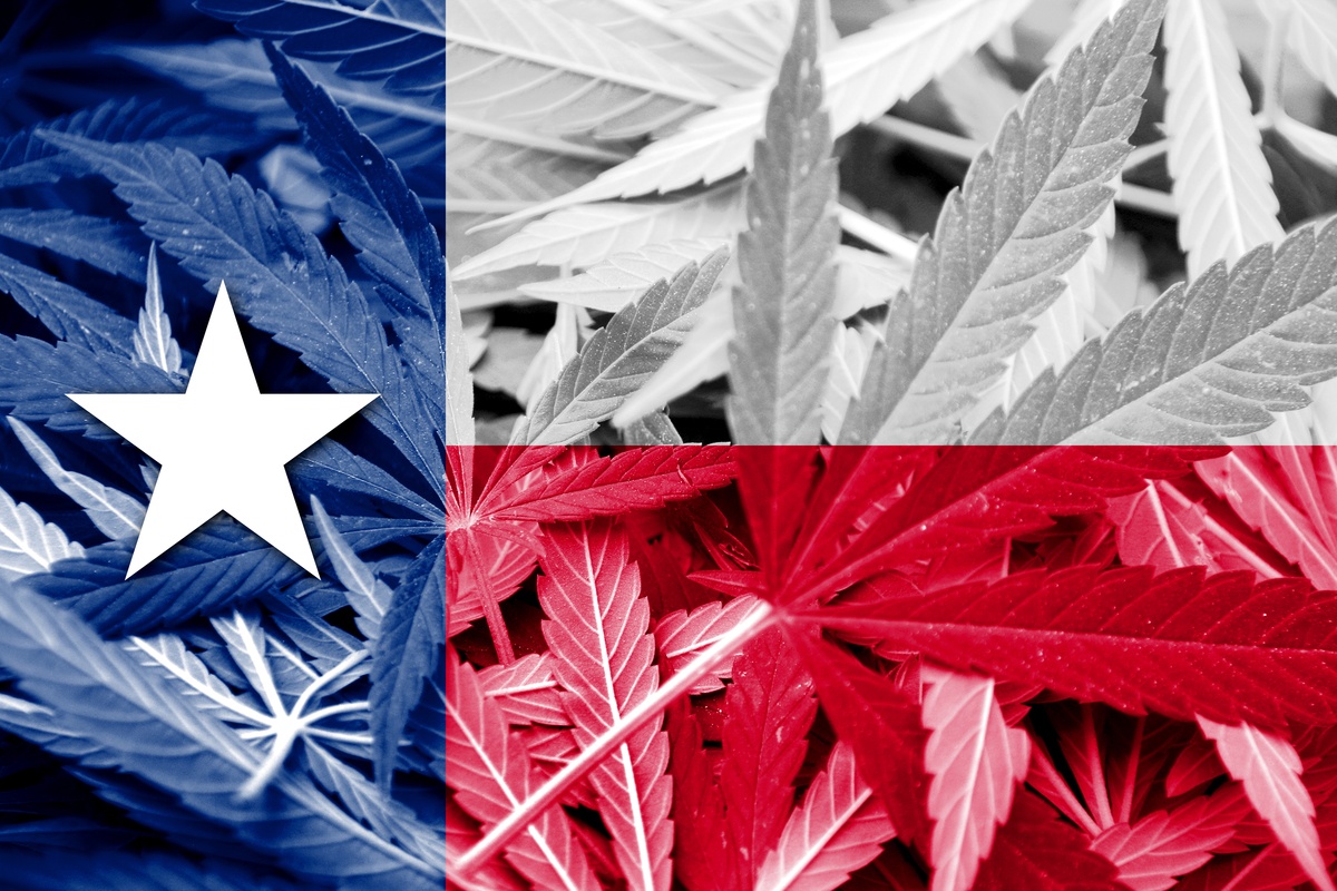 A new bill legalizes hemp in Texas. Photo: The Texas flag superimposed on a background of hemp leaves.