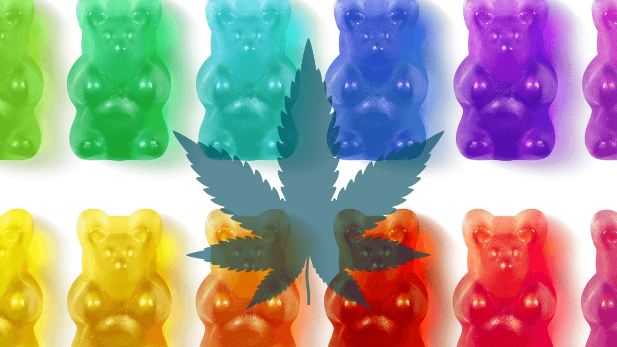 Ministry of Hemp picked the 12 best CBD gummies available online. Photo: An image of a rainbow of gummy bears, with a hemp leaf super-imposed on it.