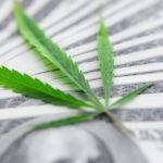 Without the SAFE Banking Act, hemp banking rights remain in a legal gray area. The hemp industry is financially and legally vulnerable. Photo: A hemp lead sitting on a fanned-out stack of $100 bills.