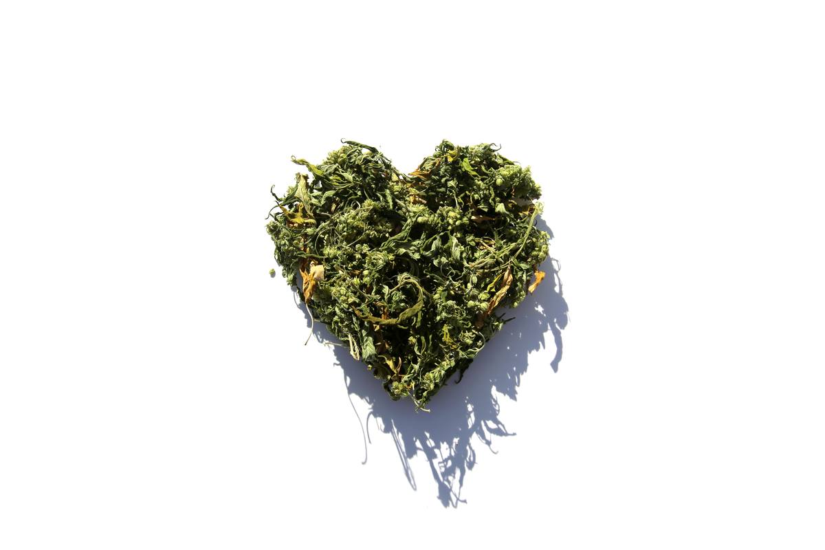 Ministry of Hemp picked the best CBD Valentine's Day gifts, along with a special CBD-infused recipe to enjoy. Photo: A Valentine's Day heart made from hemp buds and leaves woven together, against a white background.