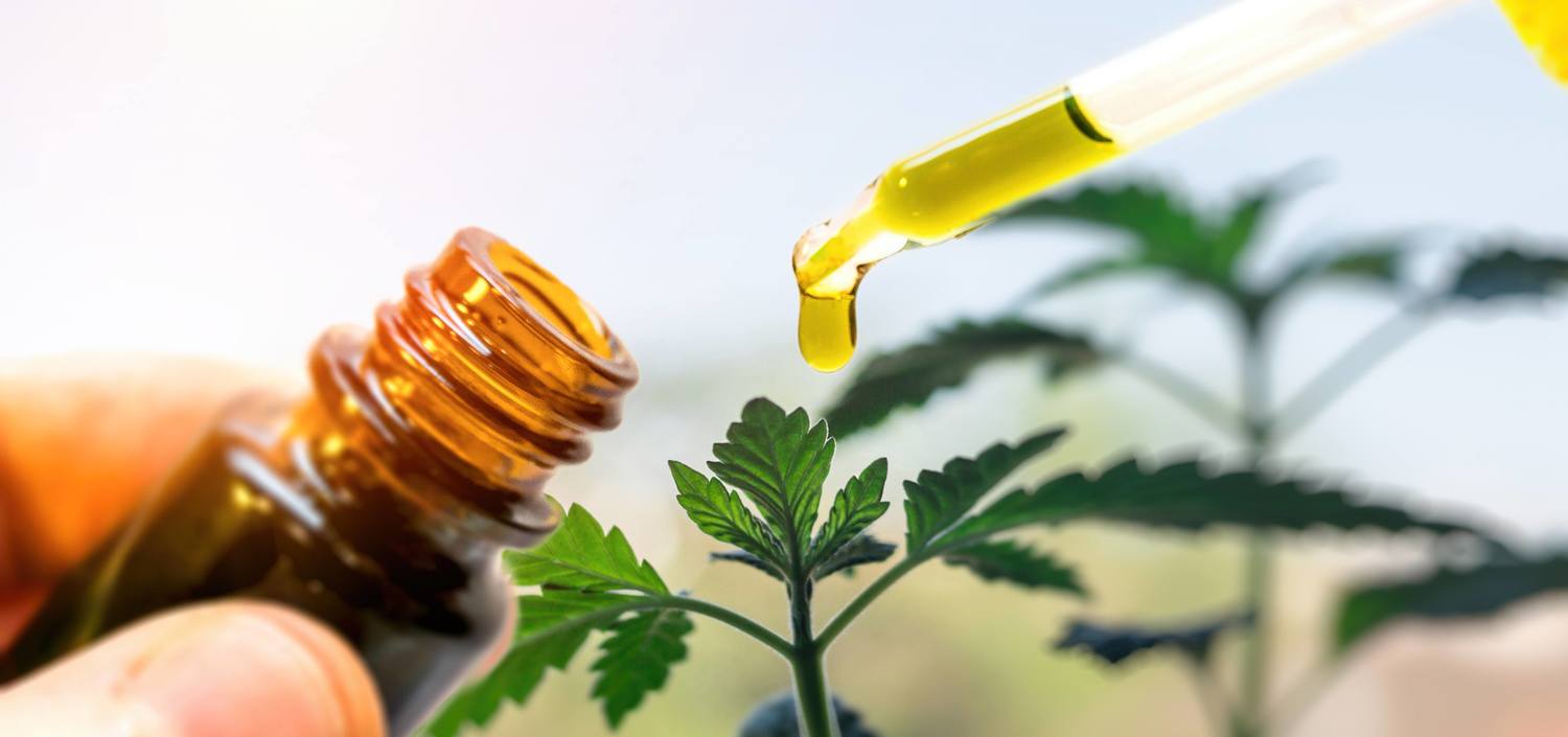 All about CBD oil resource page
