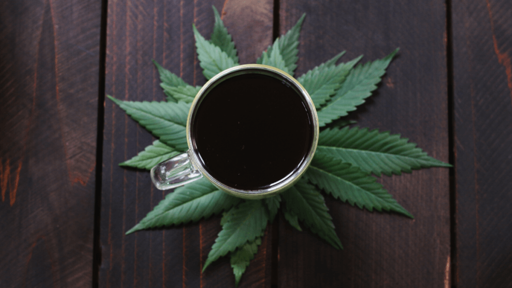 Science still has a lot to learn about combining CBD and caffeine. Photo: A cup of coffee decoratively sitting atop a pile of hemp leaves on a wooden table.