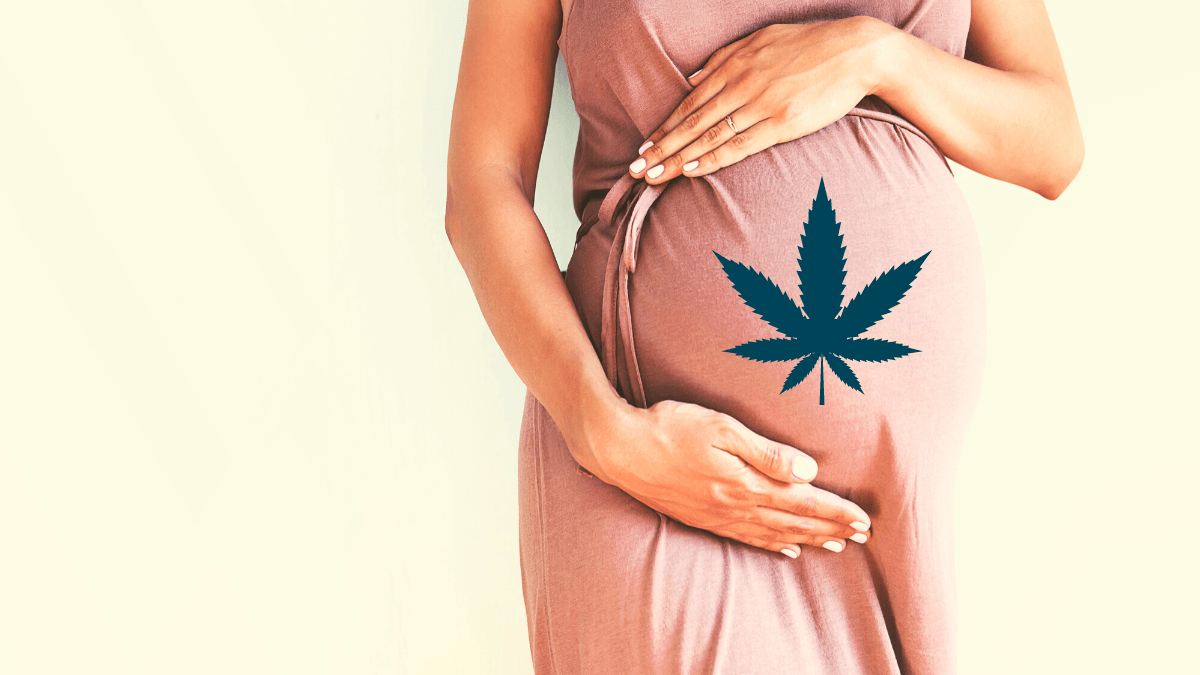 What is the effect of taking CBD during pregnancy? Photo: A woman in a pink dress cradles her pregnant stomach in both hands. An image of a hemp leaf is superimposed on her belly.