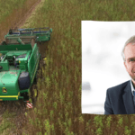 A composite photo showing a tractor harvesting hemp, and a photo of Mark Reinders, a white man with short dirty blonde hair. He is smiling and wearing a suit jacket. Reinders is CEO of HempFlax, one of Europe's leading hemp producers.