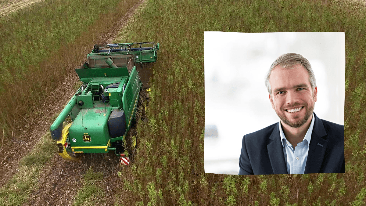 A composite photo showing a tractor harvesting hemp, and a photo of Mark Reinders, a white man with short dirty blonde hair. He is smiling and wearing a suit jacket. Reinders is CEO of HempFlax, one of Europe's leading hemp producers.