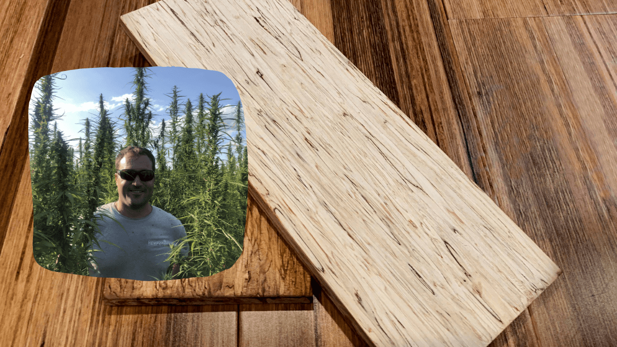 A photo of hemp wood boards, made from compressed hemp fibers, with an insert showing Greg Wilson posing in a hemp field.
