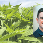 Photo: An outdoor hemp field, full of densely packed, bright green hemp plants. In an inset photo, a headshot of Connor Skelly, the marketing director at Brightfield Group.